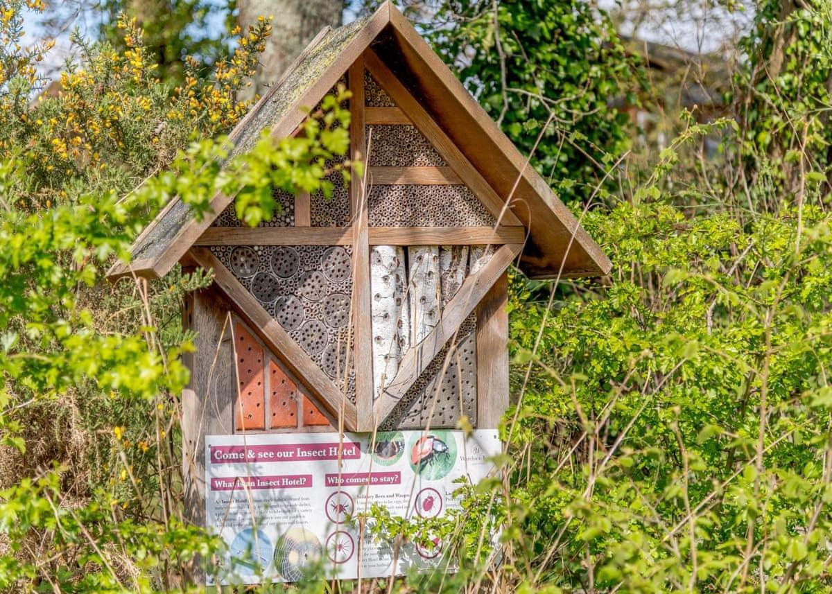 Wareham Forest Lodge Retreat Lytchett Minster Εξωτερικό φωτογραφία