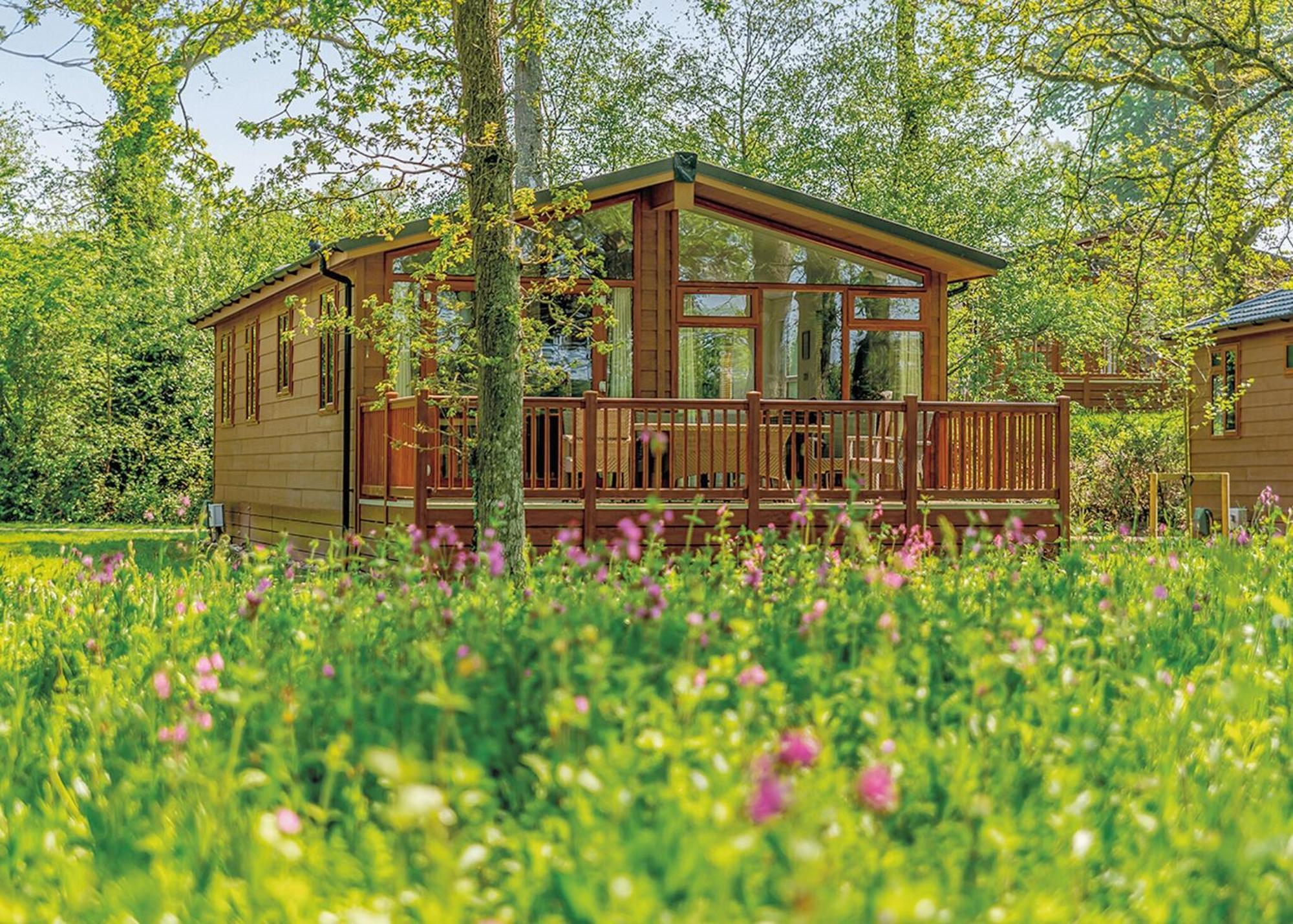Wareham Forest Lodge Retreat Lytchett Minster Εξωτερικό φωτογραφία